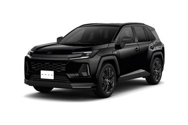 アティチュードブラックマイカ〈218〉フロントサイド