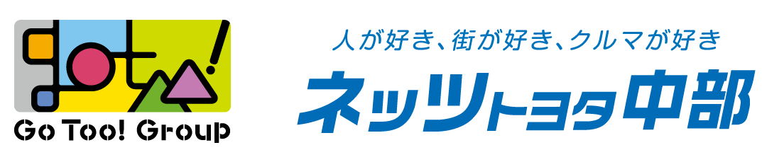 GoToo-Netz-1