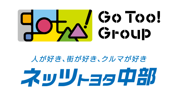 GoToo-Netz-2