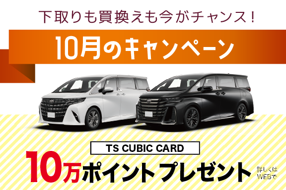 top_576ﾃ・84