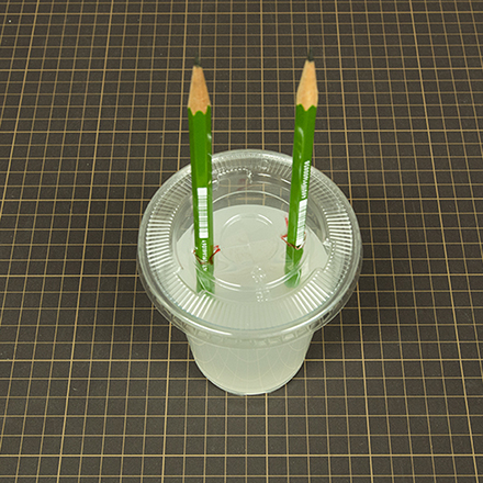 燃料電池をつくろう３
