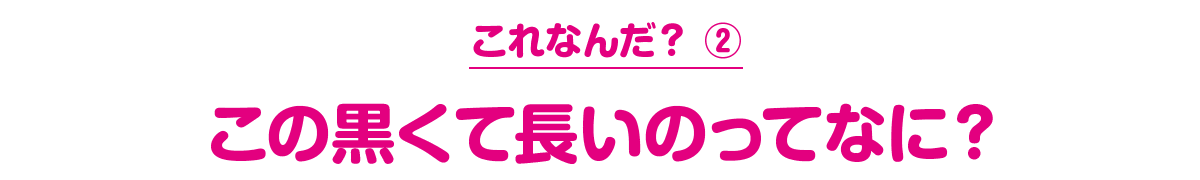 これなんだ？ ② この黒くて長いのってなに？