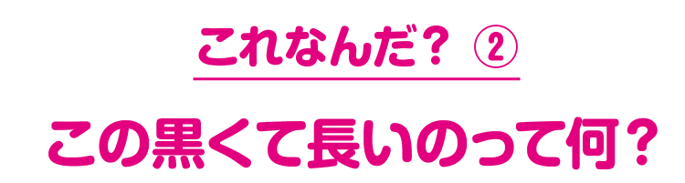 これなんだ？ ② この黒くて長いのってなに？