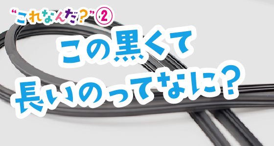 “これなんだ？”２　この黒くて長いのってなに？